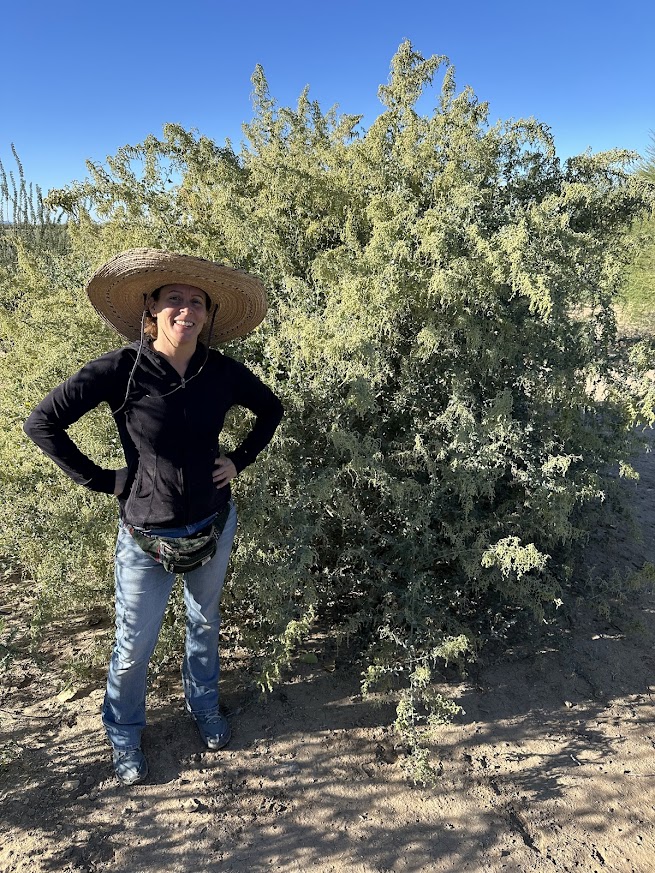 Person wearing a large straw hat, black jacket, and jeans standing outdoors near a bush, with hands on hips, sunny day.