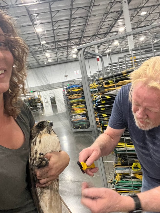 Person holding a guinea pig, another person with a yellow tool, warehouse setting with shelves and equipment.